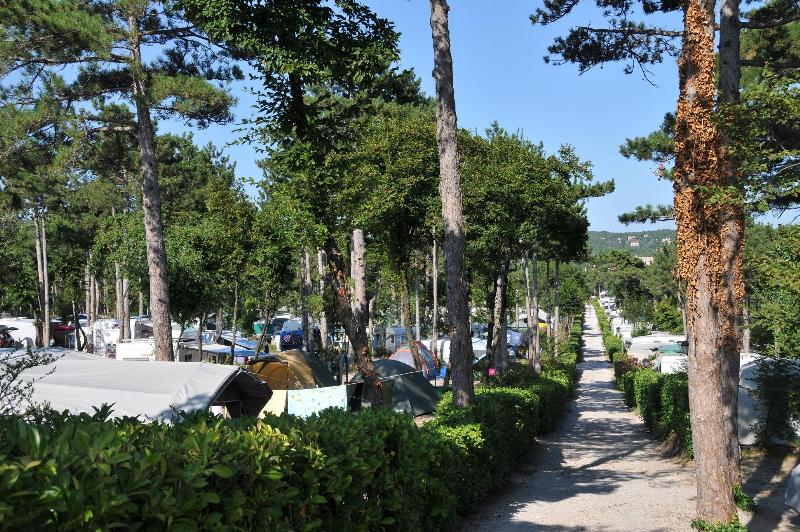 Baia Holiday Mare Pineta