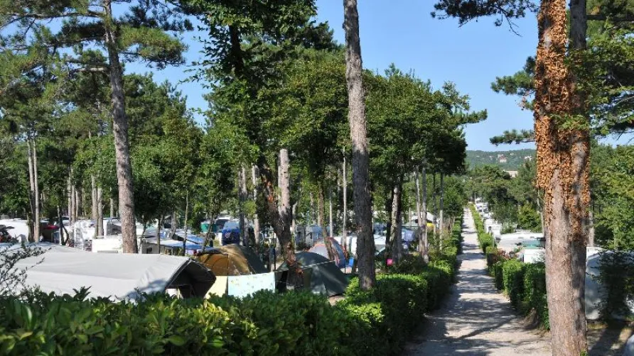 Baia Holiday Mare Pineta