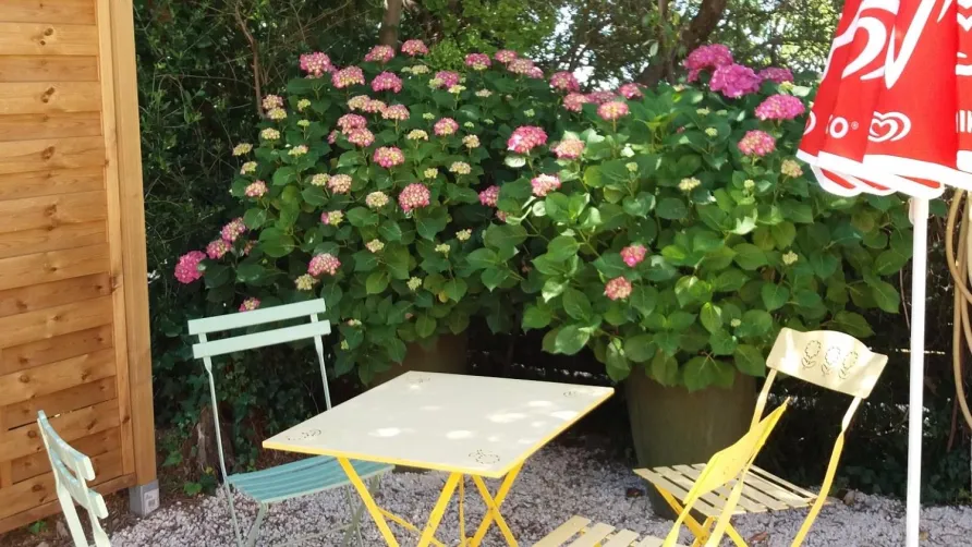Camping L'Olivier