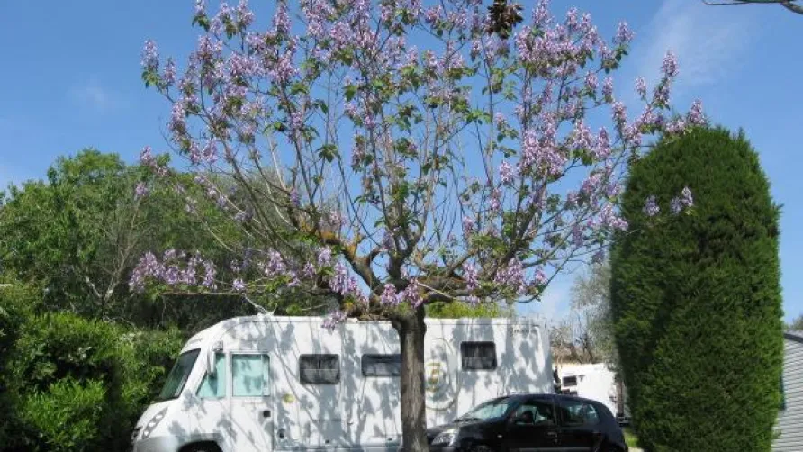 Camping La Paoute
