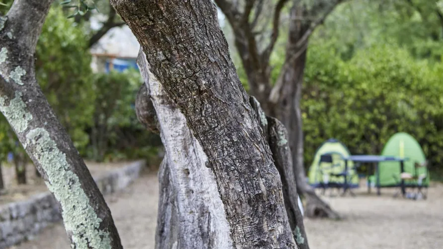 Camping La Paoute
