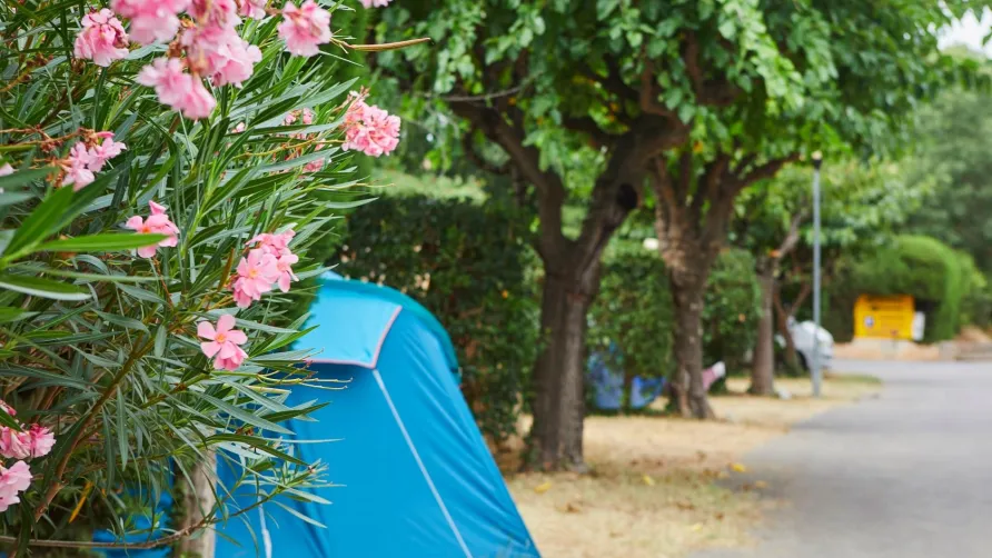 Camping La Paoute