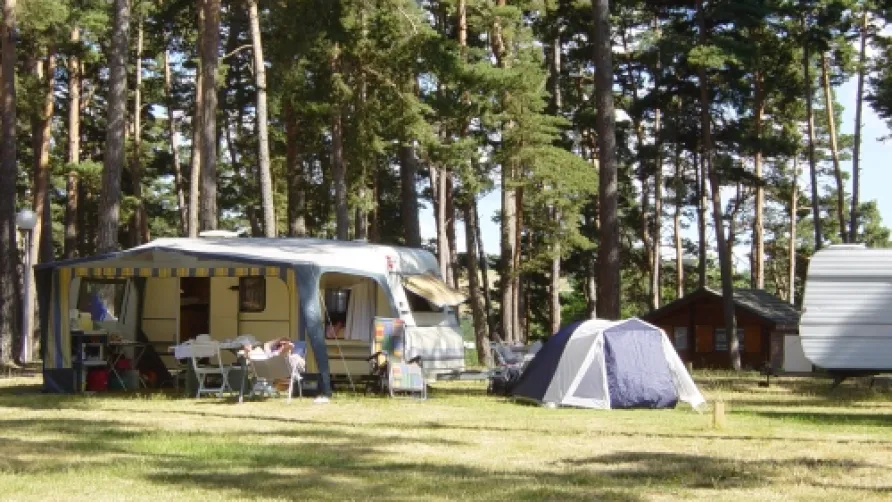 Camping Le Petit Bois***