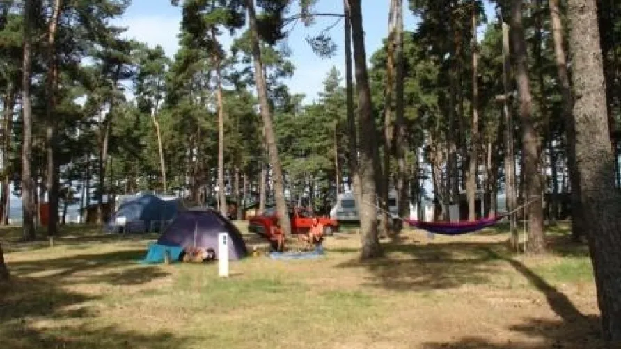 Camping Le Petit Bois***