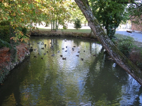 Camping Homair - Château de Fonrives