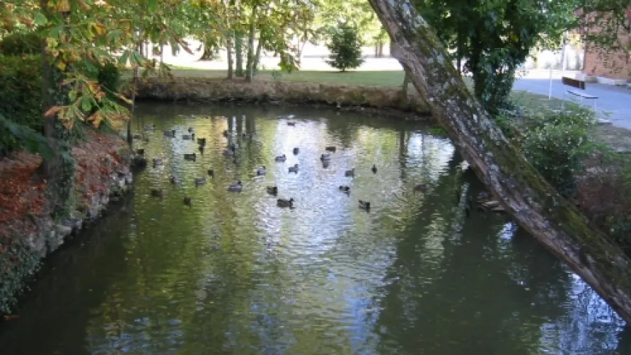 Camping Homair - Château de Fonrives