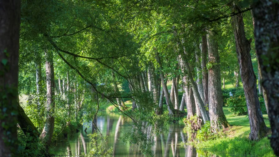 Camping du Buisson