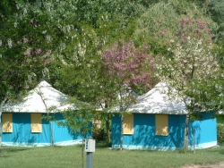 Flower Camping Saint Amand
