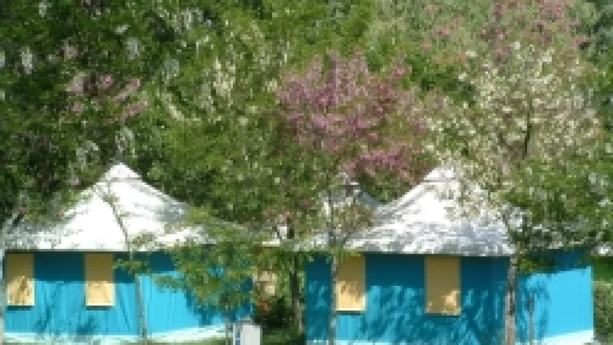 Flower Camping Saint Amand