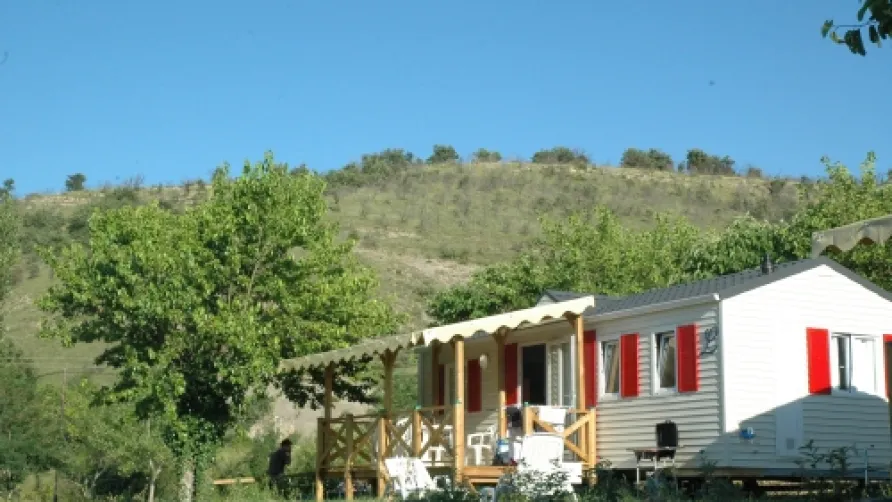 Flower Camping Saint Amand