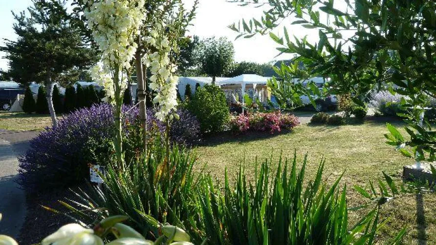 Capfun - Camping La Route Blanche