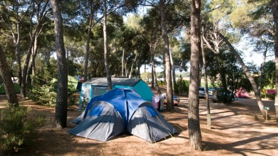 Camping de LA PASCALINETTE