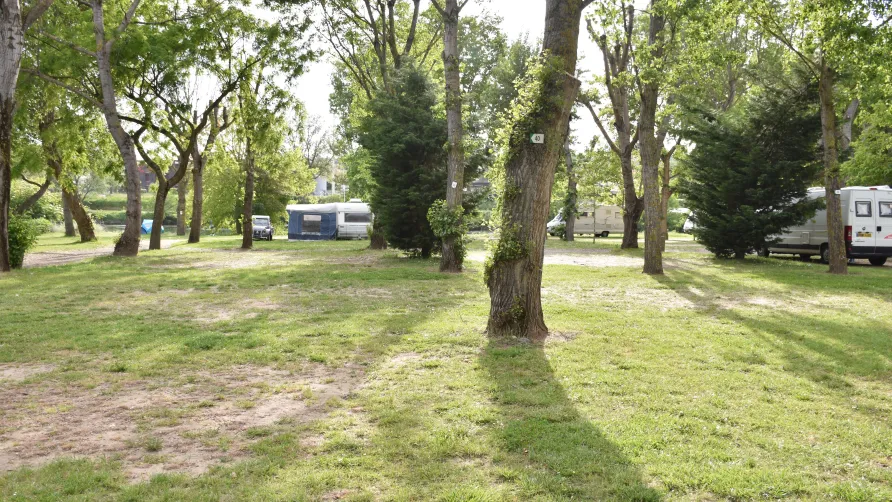 Camping LARRIBAL