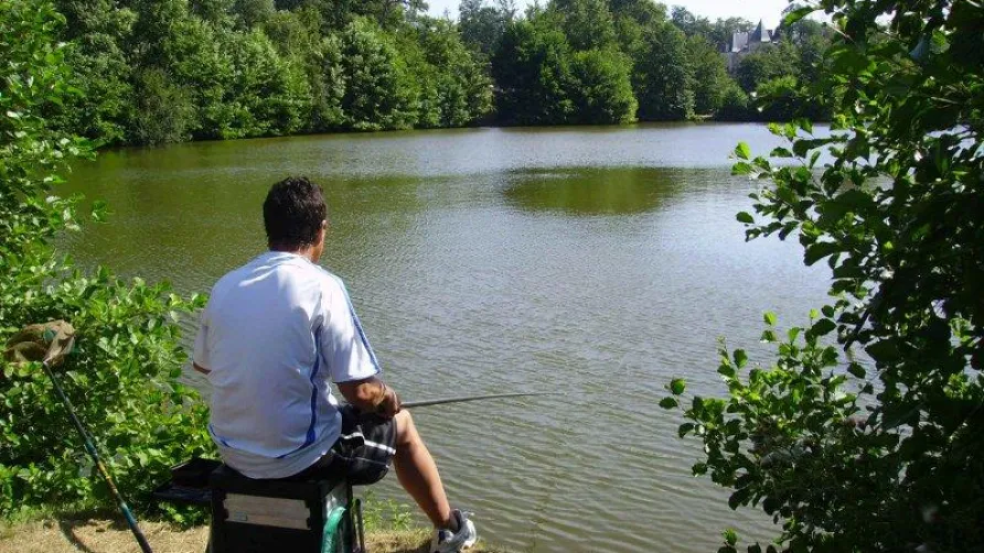 Camping Homair - Château La Forêt