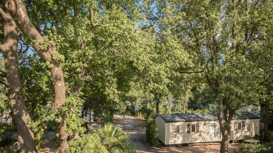 Camping l'Étoile d'Or