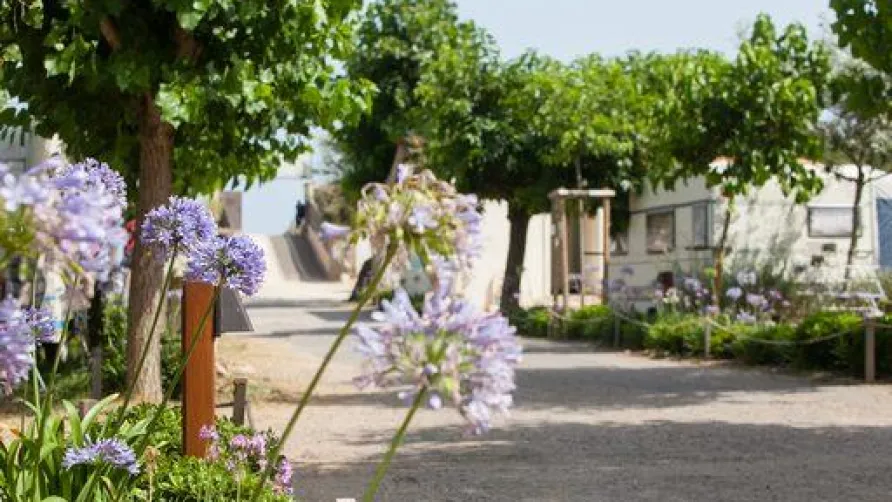 Camping Beauregard Plage