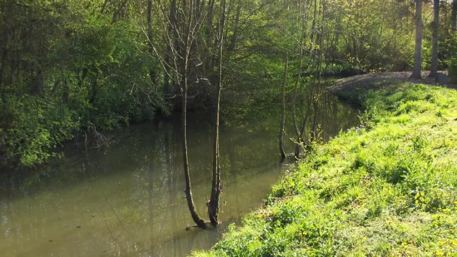 Camping Le Bois Fleuri