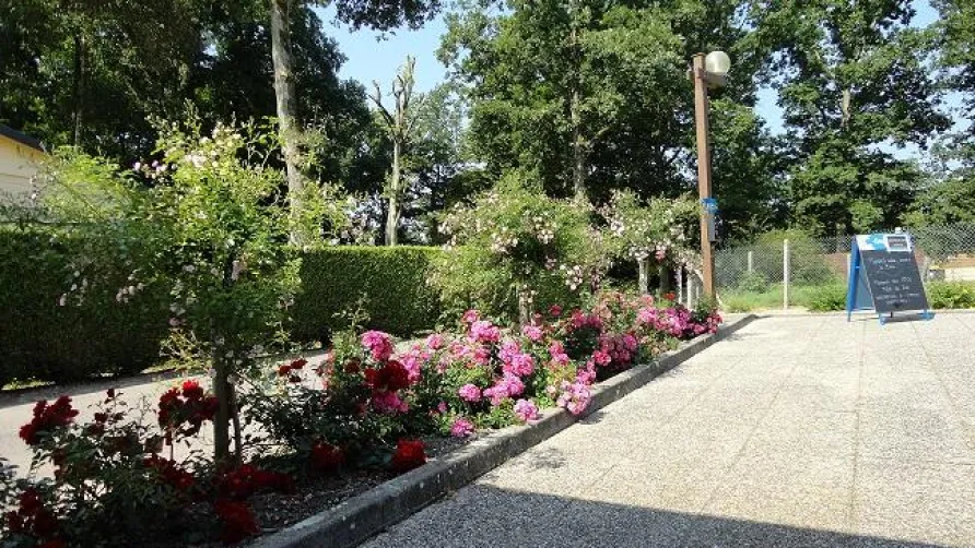 Camping Le Bois Fleuri