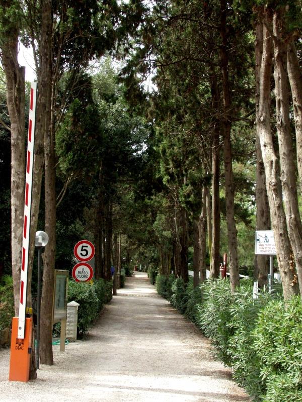 Capannino - André Trigano