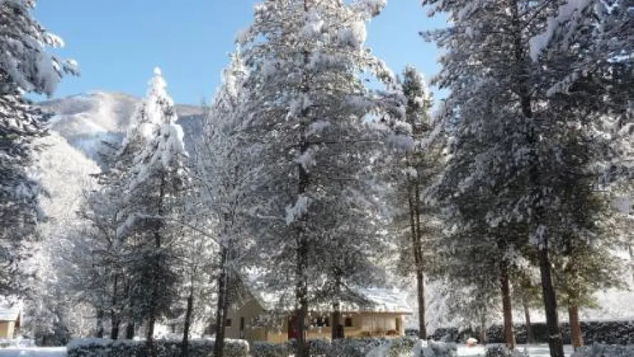 Camping Le Montagnou