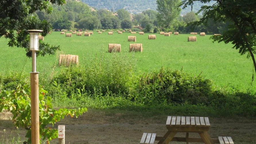 Camping du Domaine D'Anglas