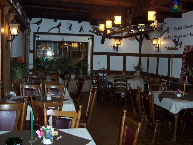 Camping-Paradies Grüner Jäger