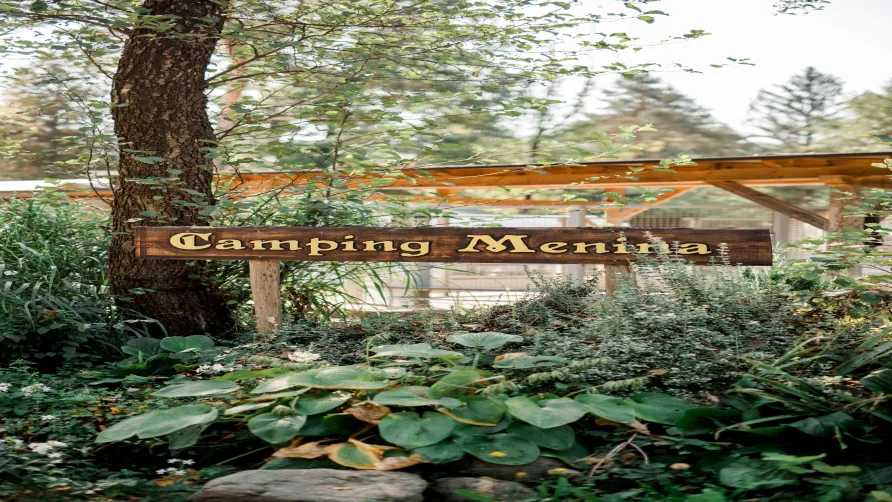 Camping Menina