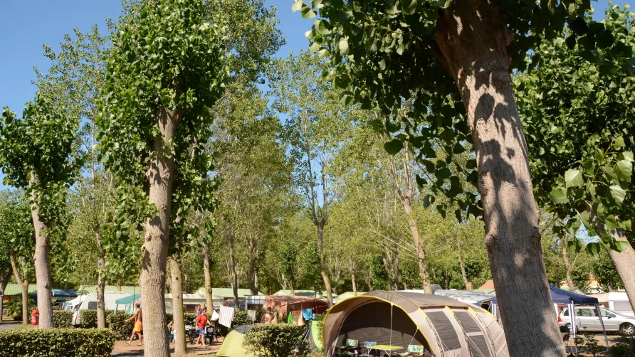 Camping Homair - Le Napoléon