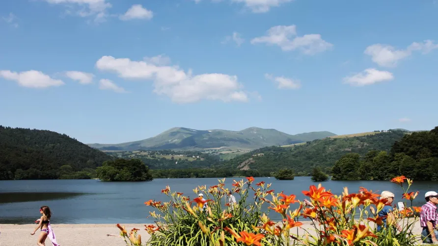 Camping Les Fougères - Le Domaine du Marais