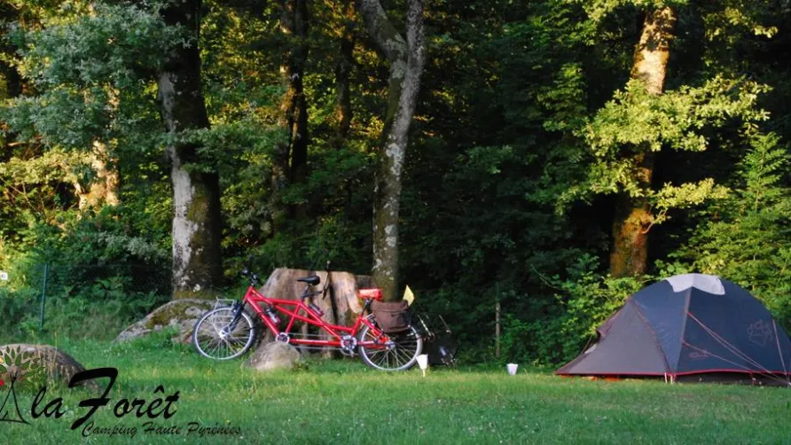 Camping La Forêt