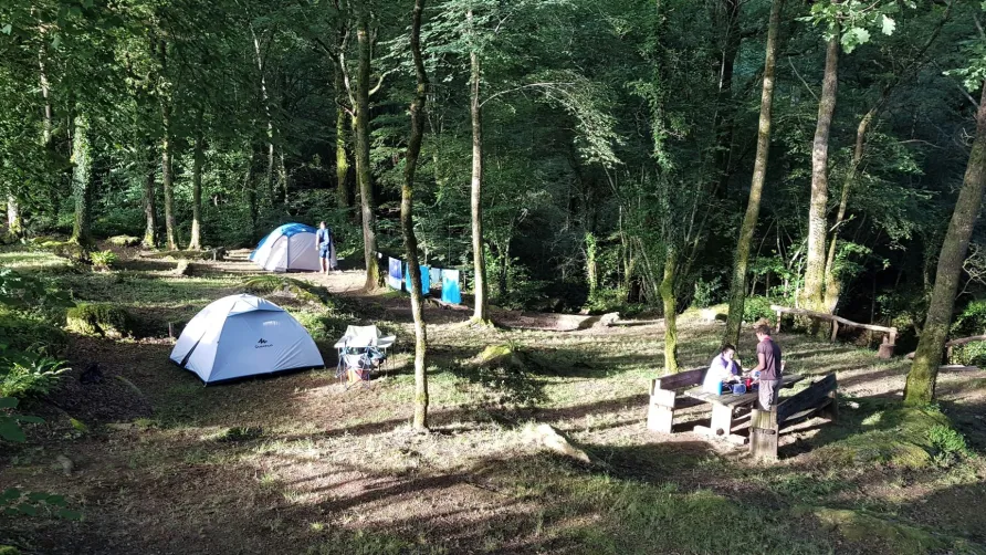 Camping La Forêt