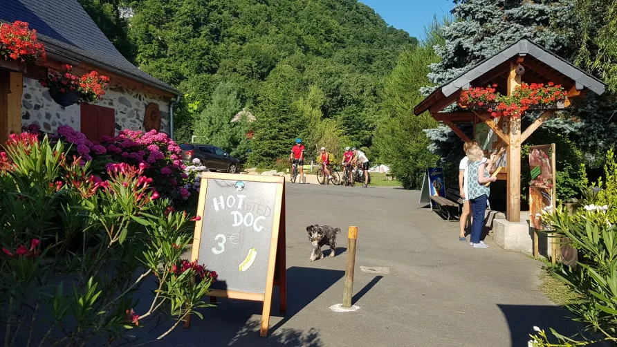 Camping La Forêt