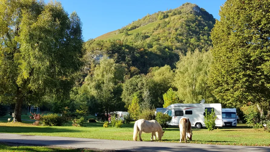 Camping La Forêt
