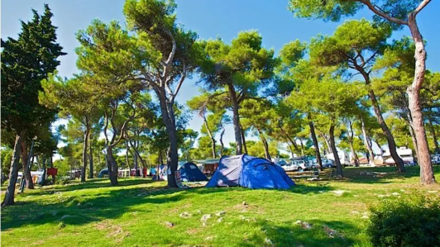 Arena Indije