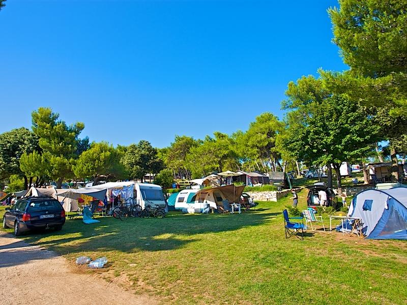 Arena Indije