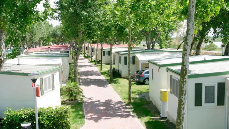 Camping Oasi