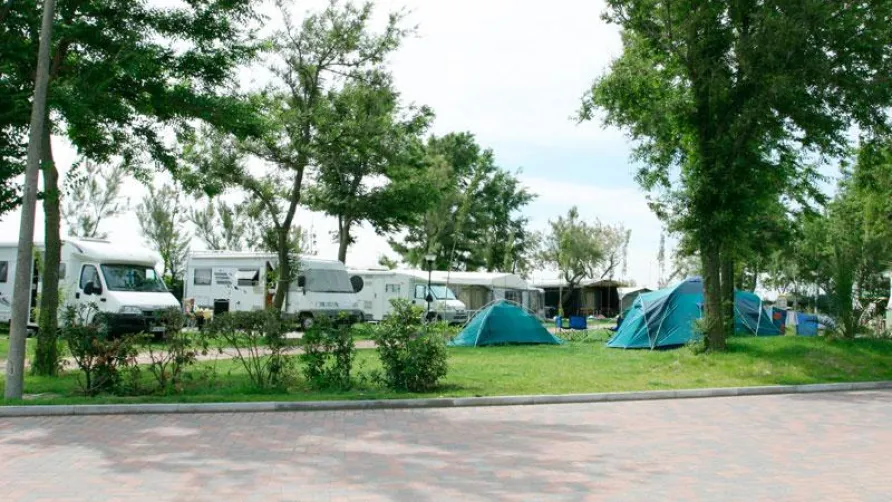 Camping Oasi