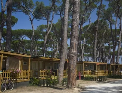 Park Albatros Village