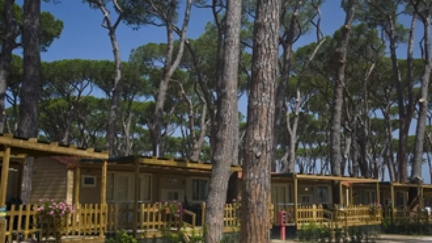 Park Albatros Village
