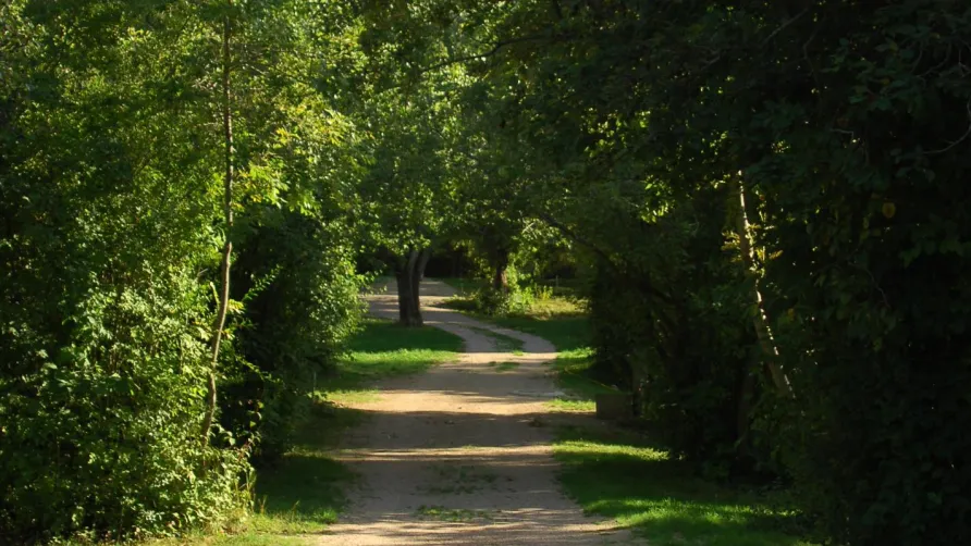 Camping Gîte Le Verger - Baratier 05