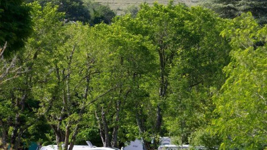 Camping Sandaya Les Jardins de Privas
