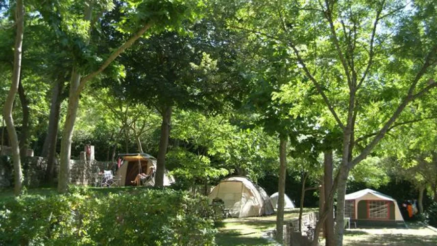 Sites et Paysages Les Pinèdes