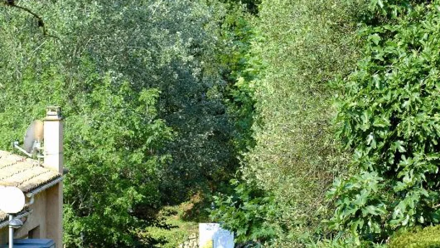 Sites et Paysages Les Pinèdes