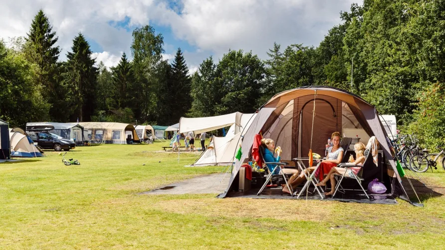 RCN Vakantiepark de Roggeberg