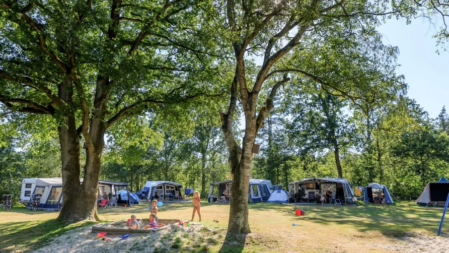 RCN Vakantiepark de Roggeberg