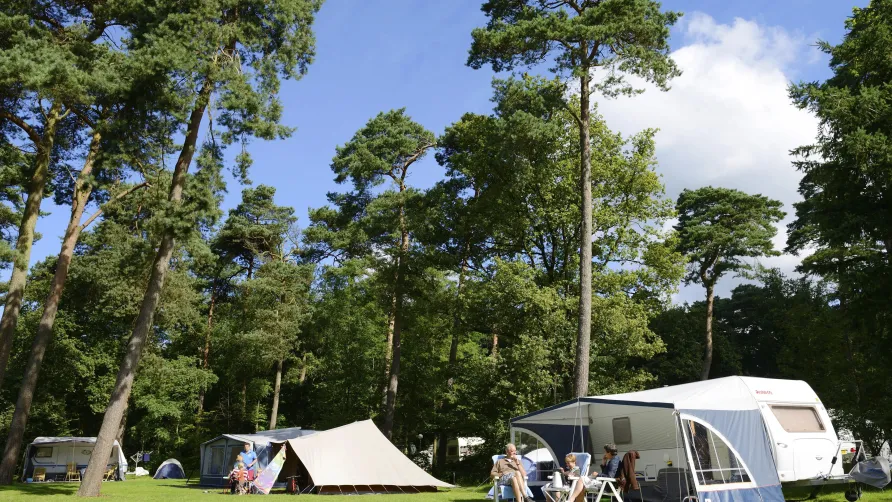 RCN Vakantiepark het Grote Bos