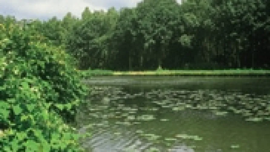 Camping Floreal Het Veen