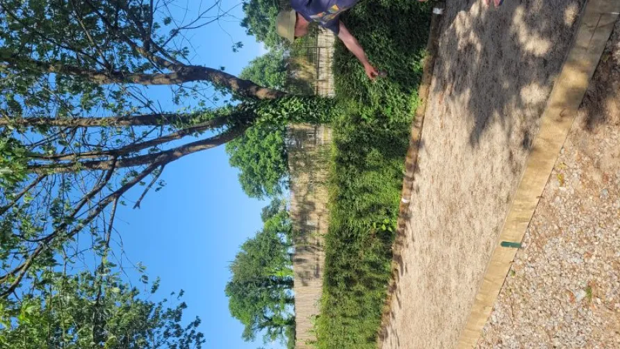 Camping des Cerisiers