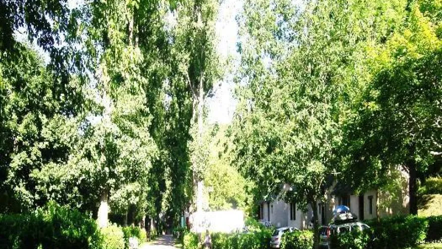 Camping Qualité Le Paisserou