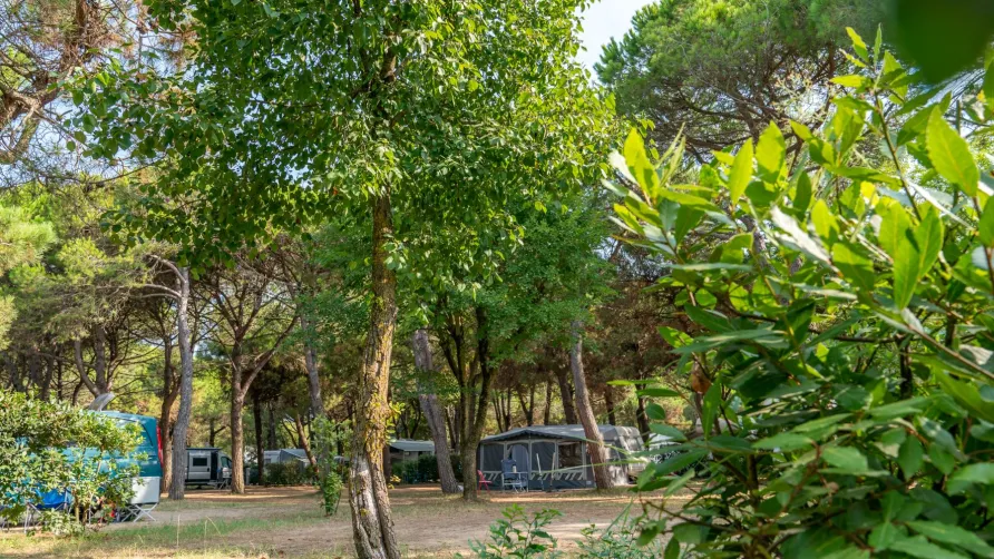 Camping Ca'Savio